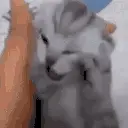 THEVOICES emote