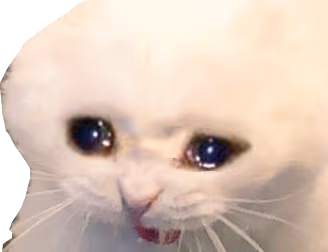 sadcat2 emote
