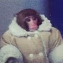 ArcticMonkeys emote