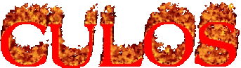 CULOS emote