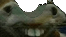 xddflippingonxddentge emote