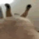 grind emote