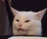 catSalad2 emote