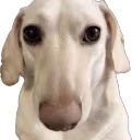 IKnowWhatYouAre emote