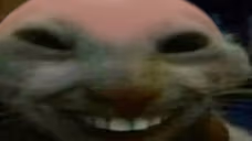 xddbald emote