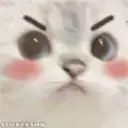 MADcat emote