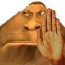 brugStop emote