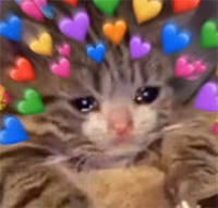 loveeternal emote