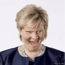 Erna emote