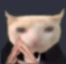 catBusiness static emote