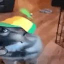 cc emote