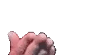 kiss0 emoji