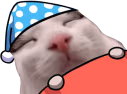 plinkbedge emote