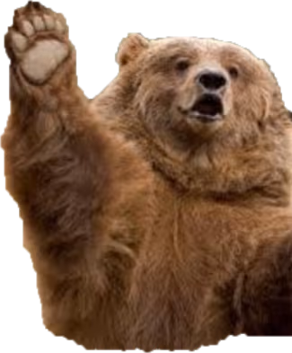 bear emote