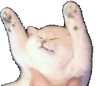 peachParty emote