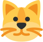 old_cat_face emote