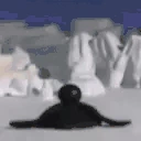 pinguPls emote