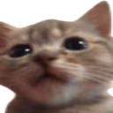 umm emote