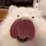 LICKA emote