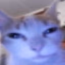 Goofy_cat_stare emote