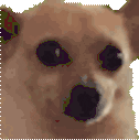awkdisco animated emote