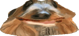 ABBOBA emote