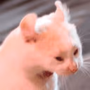 CE_Gritito emote