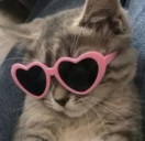 TooCoolForYou static emote