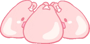 rabbit_chatting emote