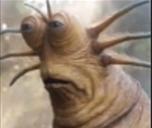 liveslugreaction static emote