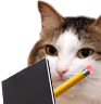 kiisu_noted emote