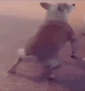 twerk emote