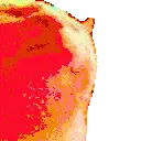 catJAMJAM emote