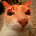doseangry emote