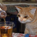 CE_SadDrinking emote