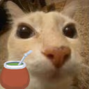 dosemate emote