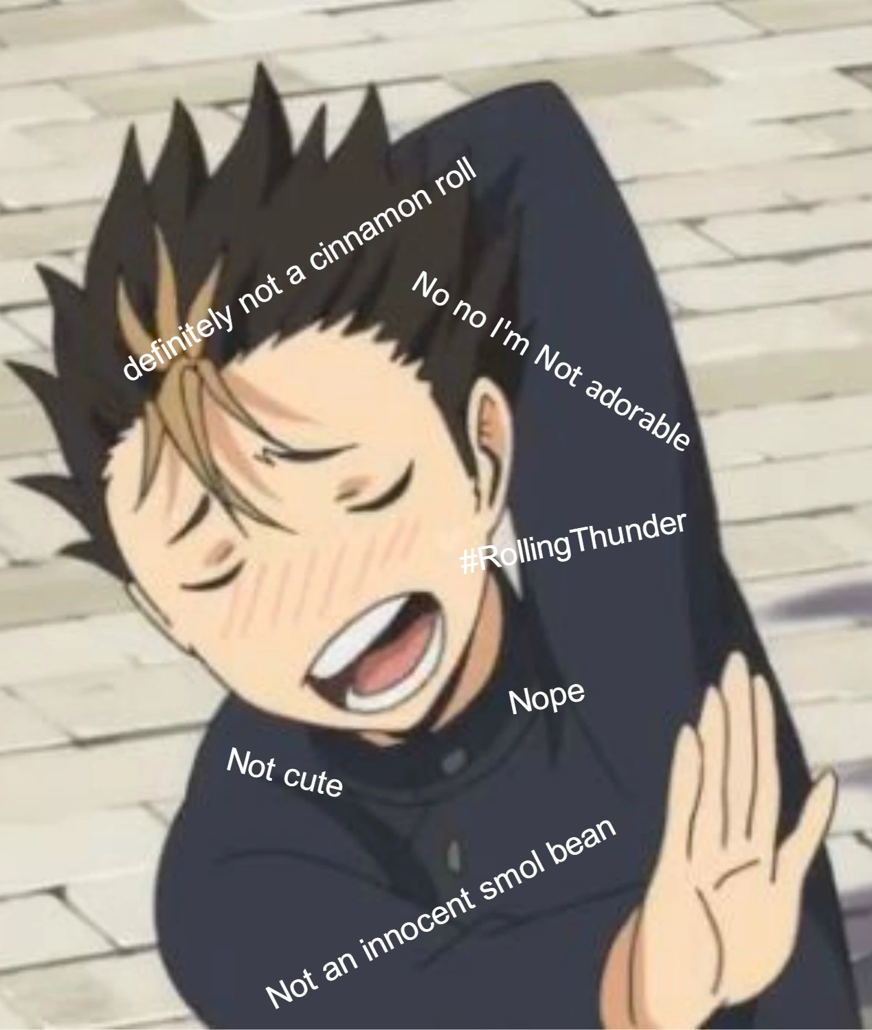 nishinoya emote