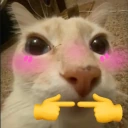 doseshy emote