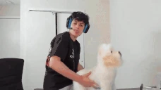 zoophile emote