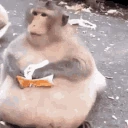 fatass_monkey emoji