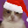 ChristmasCatStare emote