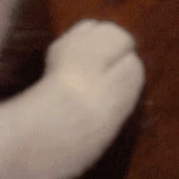 peets emote