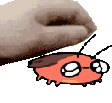 pet_kawaii_roach animated emote