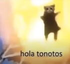 tonotos static emote
