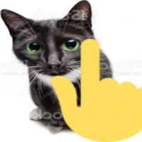 pointingupcat emote