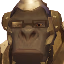 winStare emote