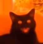 Demonic_Laughing_Cat emote