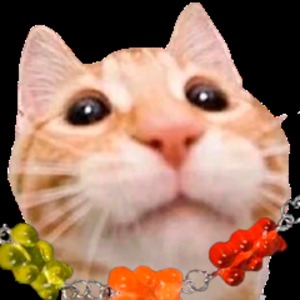 gvardovskiy avatar