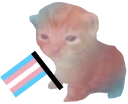 RobertTrans emote
