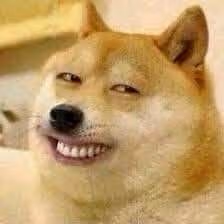 dogesmirk emote